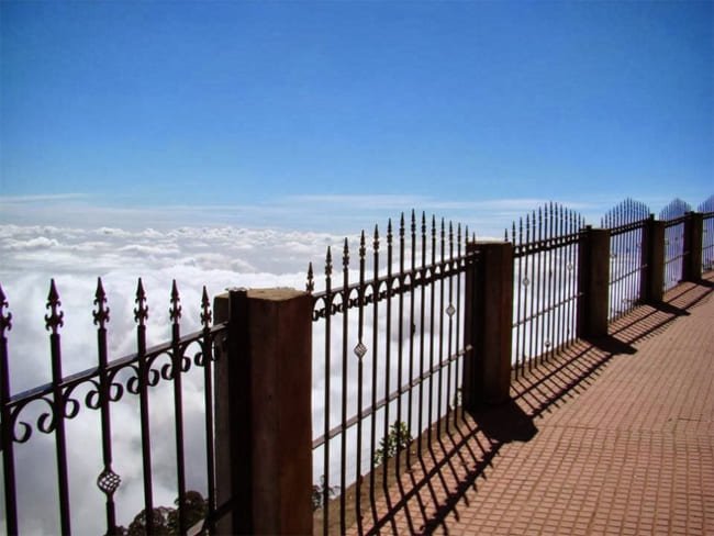Cockerswalk