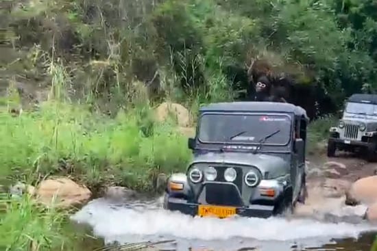 Kodaikanal Pallangi Off-Road Jeep Safari Tour