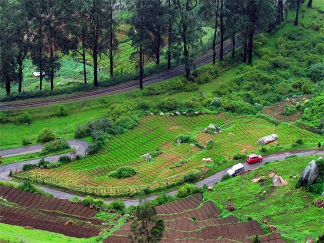 ooty1