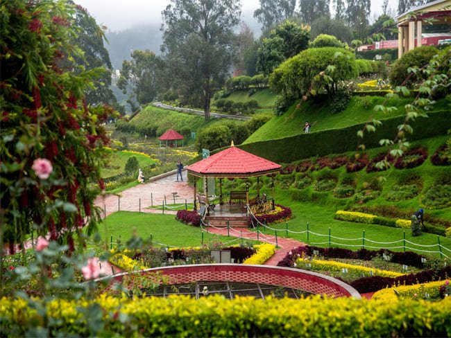 ooty2