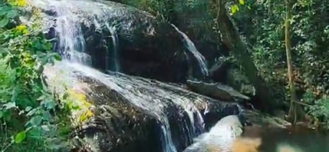 Kodaikanal City Jeep Safari Night Tour