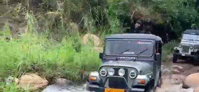 Kodaikanal Pallangi Off-Road Jeep Safari Tour